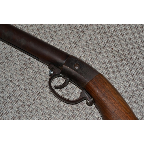 117 - A rare early 20th century Diana air rifle