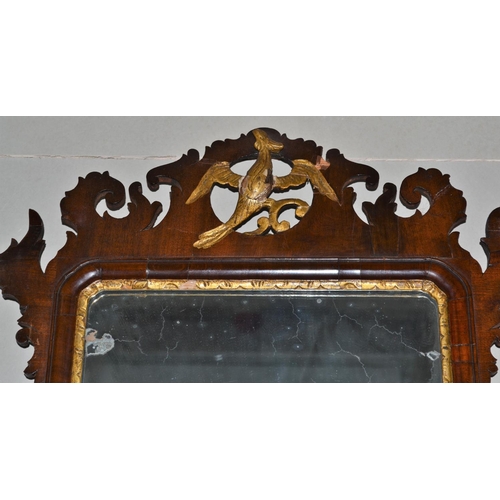 507 - A 19th Century fretwork mirror in the style of Chippendale - 35