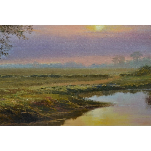 533 - Tony Sheath (1946-) - Oil on canvas of a river scene at sunset - 23