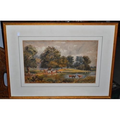 573 - A vintage watercolour of cattle in a river - unsigned - 27