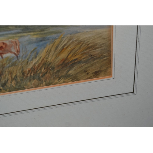 573 - A vintage watercolour of cattle in a river - unsigned - 27