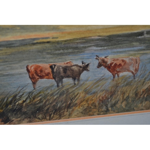 573 - A vintage watercolour of cattle in a river - unsigned - 27