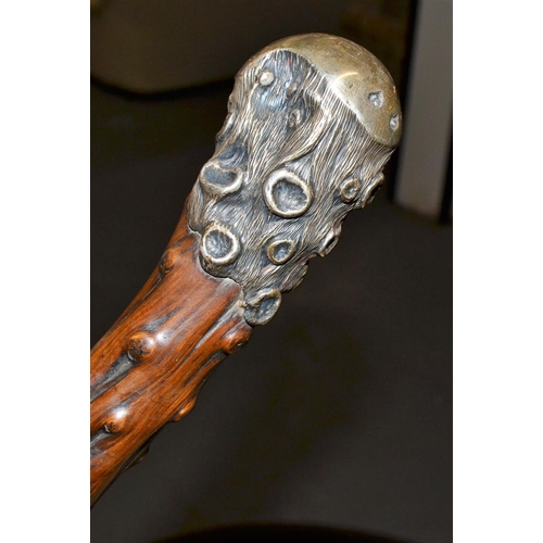 461 - A stunning silver topped walking stick with an unusual wooden shaft - London 1890 by Henry Howell