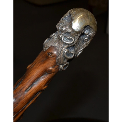 461 - A stunning silver topped walking stick with an unusual wooden shaft - London 1890 by Henry Howell