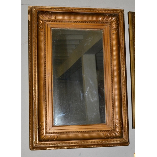 253 - Rectangular gilt framed mirror