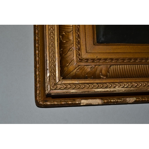 253 - Rectangular gilt framed mirror