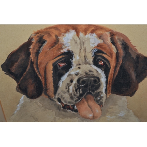 266 - Watercolour of a St Bernard Dog by W Ripley. Information verso c.1930