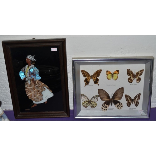 389 - A collection of taxidermy butterflies and a vintage picture of a lady made from butterfly wings