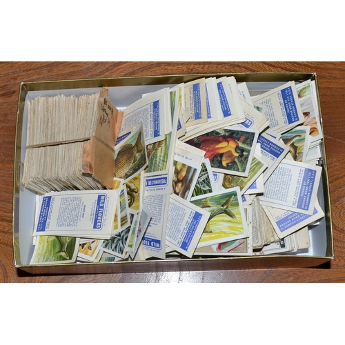 540 - A box of tea and cigarette cards