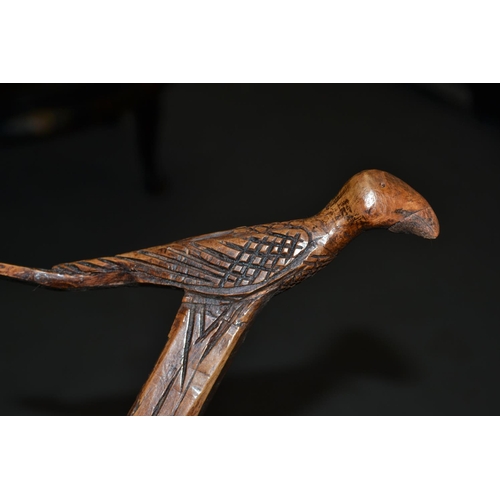 745 - A vintage Folk Art carved wooden walking stick with bird handle