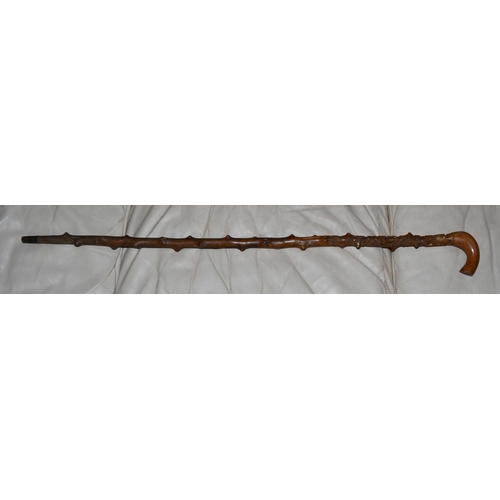 746 - A vintage folk art carved walking stick with Oak and acorn design