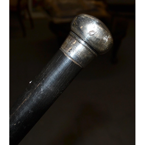 747 - A silver mounted walking cane - London 1901 - makers mark obscured