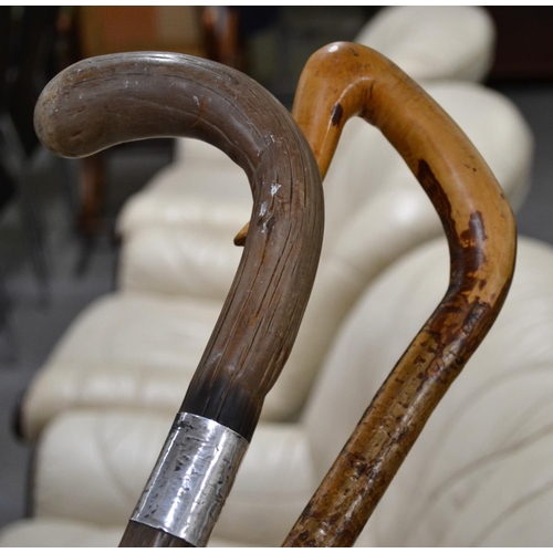 749 - A silver mounted cane dated 1890 and a Shepherds crook cane