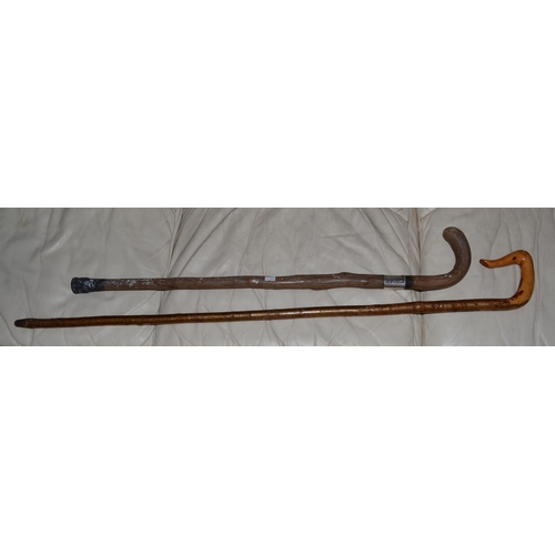 749 - A silver mounted cane dated 1890 and a Shepherds crook cane