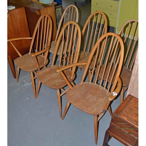 20 - A set of 6 Ercol 365 Quaker dining chairs - 2 carvers and 4 dining