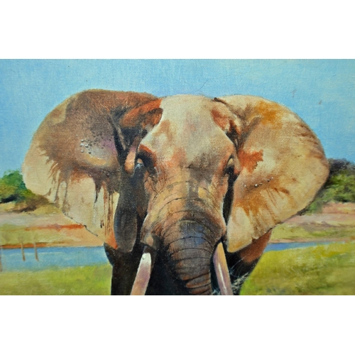 247 - David Kelly ARR (1959-) - Oil on Canvas of an Elephant - signed and dated '03 lower right