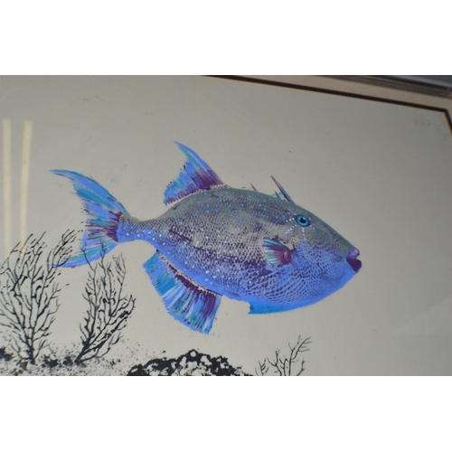 257 - An unusual framed Gyotaku print of a fish. This print is made by painting a live fish and pressing i... 