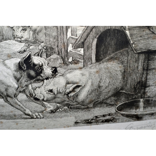 280 - An excellent quality Artists Proof etching of Pigs and a Dog within a Farmyard - signed indistinctly... 