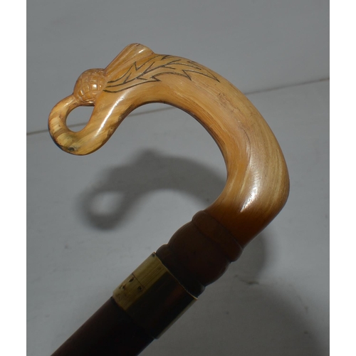 721 - A vintage walking stick with a Scottish carved horn handle and a Malacca shaft