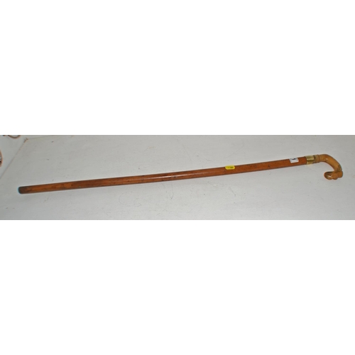 721 - A vintage walking stick with a Scottish carved horn handle and a Malacca shaft