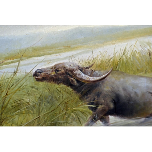 208 - A large Chinese/ South East Asian oil on canvas of a child and Water Buffalo signed Sain Ang?