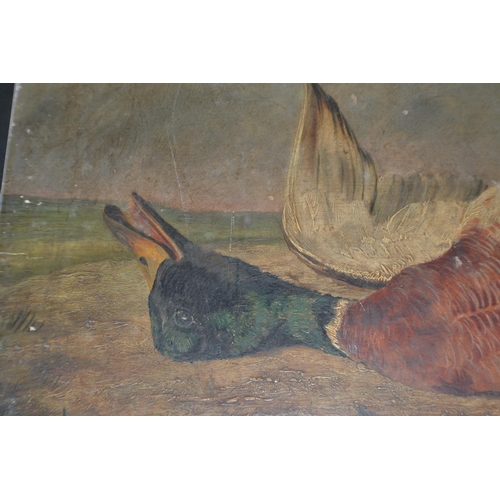 219 - An antique oil on board of a Duck - probably Victorian but unsigned