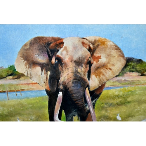 259 - David Kelly ARR (1959-) - Oil on Canvas of an Elephant - signed and dated '03 lower right