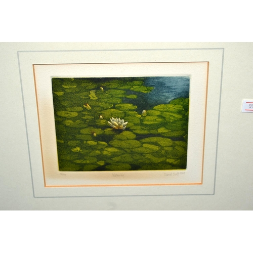 262 - A limited edition print by David Suff - Waterlily