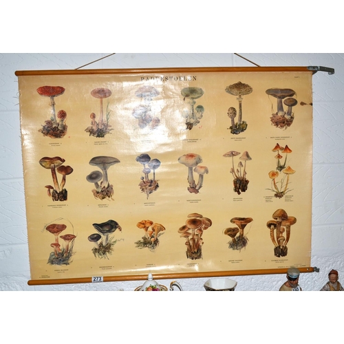 273 - A vintage school poster of fungus and mushrooms by W.J. Thieme & Cie