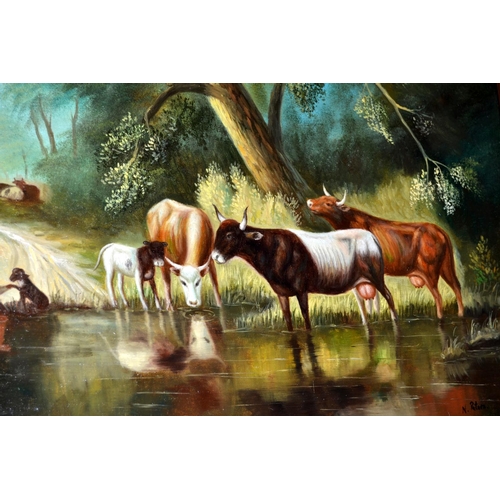 305 - Oil on canvas of cattle watering signed N.Peters