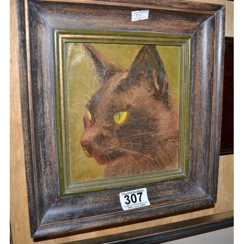 307 - An oil on canvas of a cat signed BC of some age