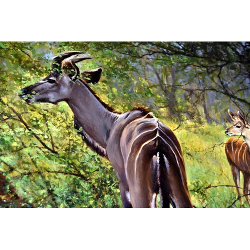 332 - Barry Walding - Oil on Canvas of African Antelope