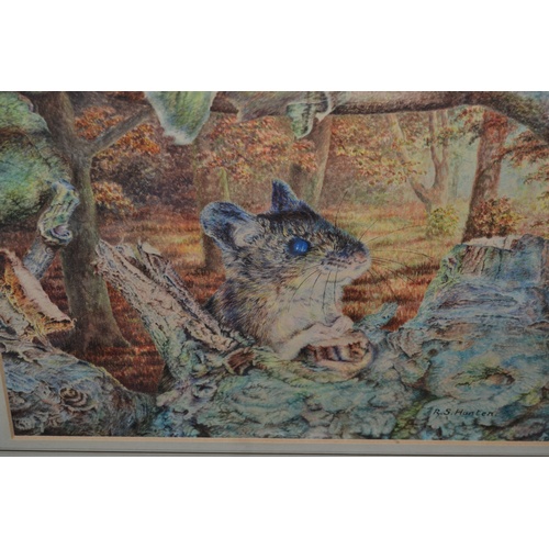 252 - A vintage watercolour of a mouse entitled 