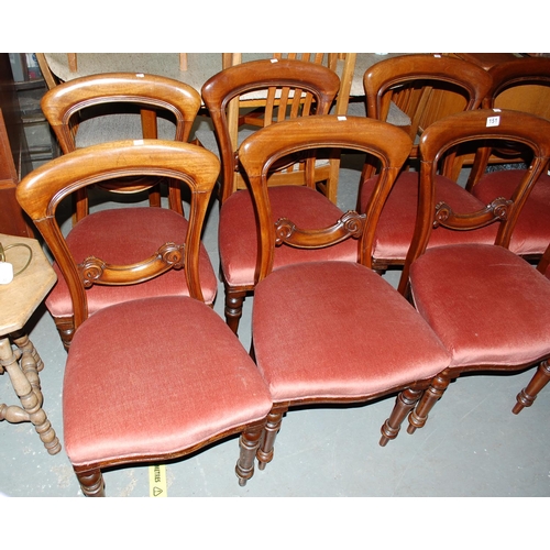 151 - A set of 8 Victorian balloon backed dining chairs