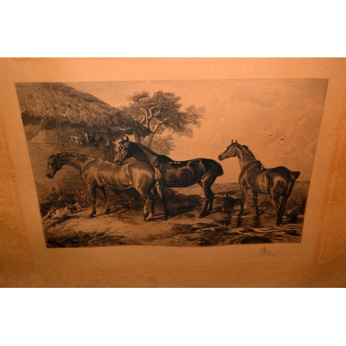 402 - A large oak framed antique artists proof print of horses - Postage/ Packing not available