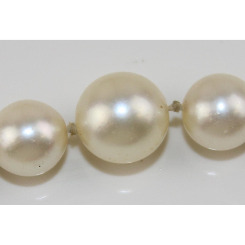 1262 - Vintage pearl necklace with 9ct gold clasp