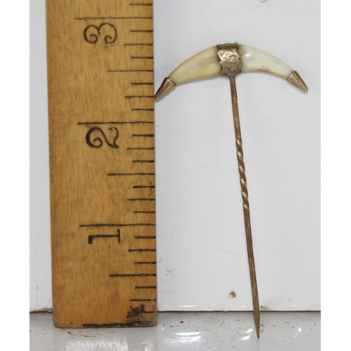 1275 - A 19th century yellow metal mounted stick pin with animal teeth - believed to be Tiger