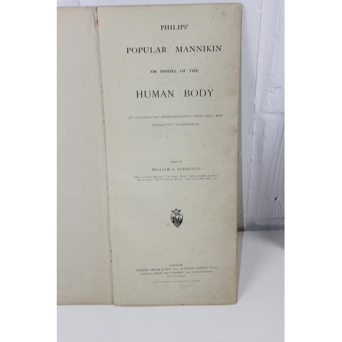 1581 - W.S. FURNEAUX - Philips' Popular Manikin or Model of the Human Body. Detailed overlaid anatomical pl... 