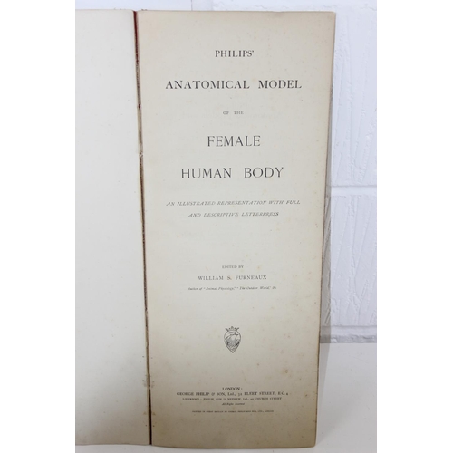 1581 - W.S. FURNEAUX - Philips' Popular Manikin or Model of the Human Body. Detailed overlaid anatomical pl... 