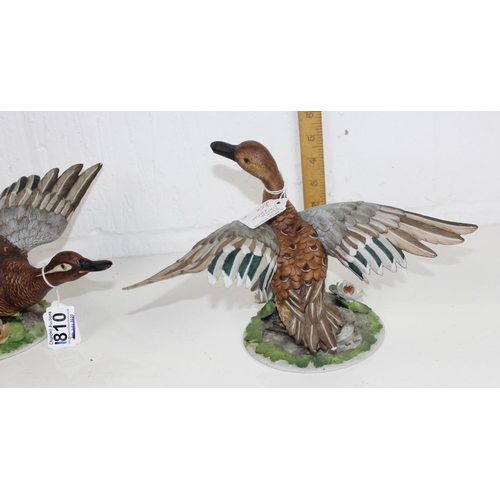 1810 - A pair of Capodimonte Limited Edition porcelain figures of ducks