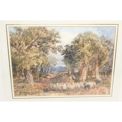 415 - J Pryce (XIX-XX) - watercolour of a woodland lane with sheep, shepherd and sheep dog