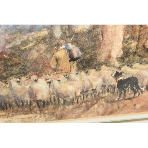 415 - J Pryce (XIX-XX) - watercolour of a woodland lane with sheep, shepherd and sheep dog