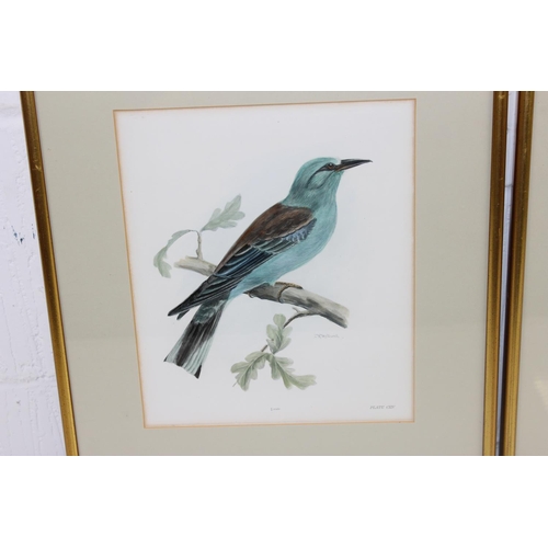 420 - A pair of antique coloured bird prints in gilt frames