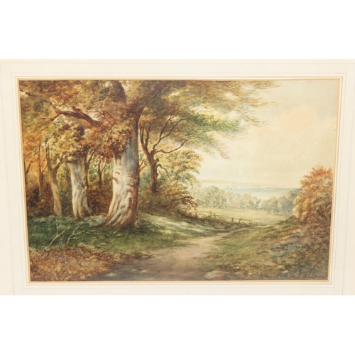 498 - 5 antique watercolours of woodland and river scenes signed Vallance