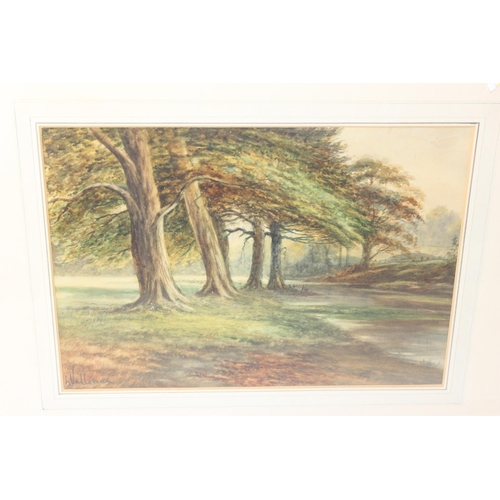 498 - 5 antique watercolours of woodland and river scenes signed Vallance