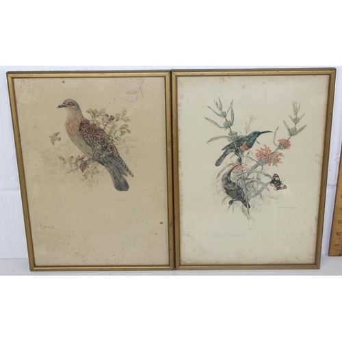 337 - A set of 6 prints of Exotic birds after Dick Findlay and a pair of antique Duck prints