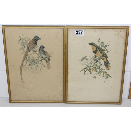 337 - A set of 6 prints of Exotic birds after Dick Findlay and a pair of antique Duck prints