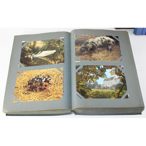 1501 - 6 x Postcard albums and contents