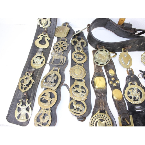 1804 - A qty of antique and later horse brasses, some on leather straps