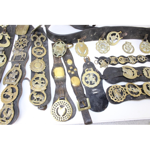 1804 - A qty of antique and later horse brasses, some on leather straps